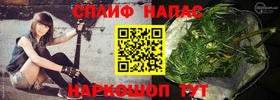 стаф Кинель